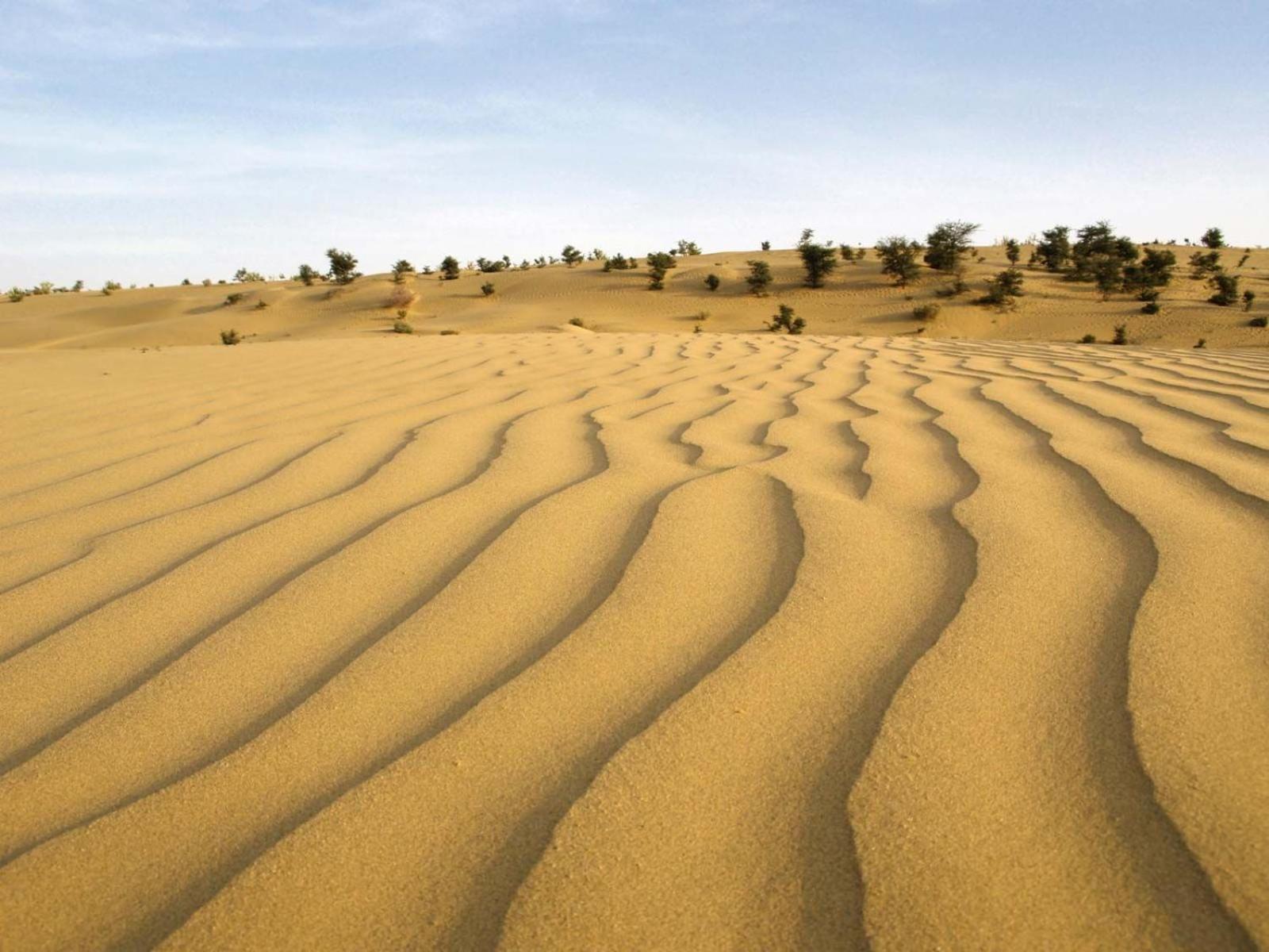 Sam Dunes Desert Luxury Camp & Resort Jaisalmer Exterior foto